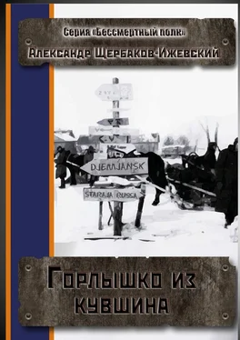 Александр Щербаков-Ижевский Горлышко из кувшина. Серия «Бессмертный полк» обложка книги