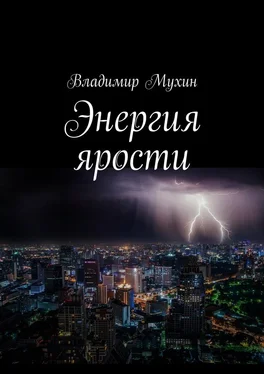 Владимир Мухин Энергия ярости обложка книги