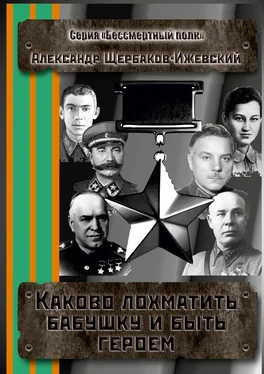 Александр Щербаков-Ижевский Каково лохматить бабушку и быть героем. Серия «Бессмертный полк» обложка книги