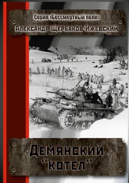 Александр Щербаков-Ижевский Демянский «котёл». Серия «Бессмертный полк» обложка книги