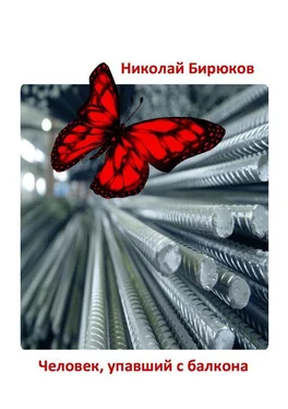 Николай Бирюков Человек, упавший с балкона. Детектив, мистика, любовный роман обложка книги