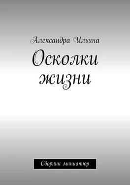 Александра Ильина Осколки жизни. Сборник миниатюр обложка книги