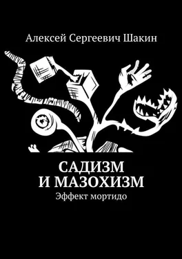 Алексей Шакин Садизм и мазохизм. Эффект мортидо обложка книги