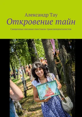 Александр Тау Откровение тайн. Священные писания гностиков-трансценденталистов обложка книги