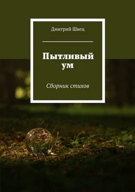 Дмитрий Швец Пытливый ум. Сборник стихов обложка книги