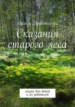 Оксана Провоторова Сказания старого леса. Сказки для детей и их родителей обложка книги