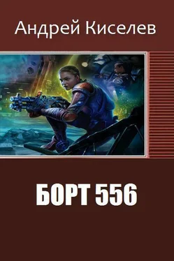 Андрей Киселев Борт 556 (СИ) обложка книги