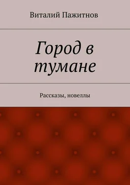 Виталий Пажитнов Город в тумане. Рассказы, новеллы обложка книги