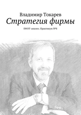 Владимир Токарев Стратегия фирмы. SWOT-анализ. Практикум №8 обложка книги