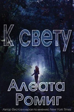 Алеата Ромиг К свету (ЛП) обложка книги