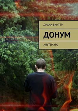 Диана Винтер Донум. Альтер эго обложка книги