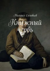 Михаил Соловьев - Книжный червь