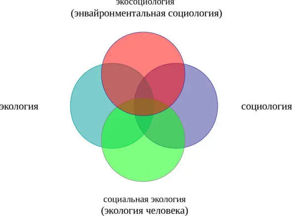 Фактически в России существуют в текстах и дискурсах как синонимы два понятия и - фото 2