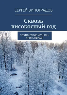 Сергей Виноградов Сквозь високосный год. Поэтические хроники. Книга первая обложка книги