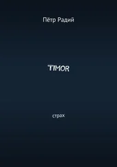Пётр Радий - Timor. Страх