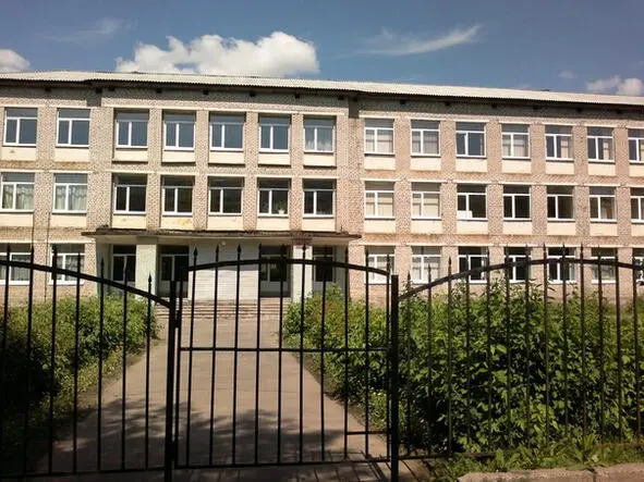 В начале 60х годов на месте этих кустов мы сажали кукурузу Очень полезное для - фото 10