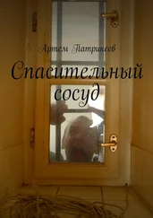 Артем Патрикеев - Спасительный сосуд