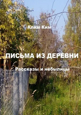 Клим Ким Письма из деревни. Рассказы и небылицы обложка книги