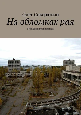 Олег Северюхин На обломках рая. Городская робинзонада обложка книги