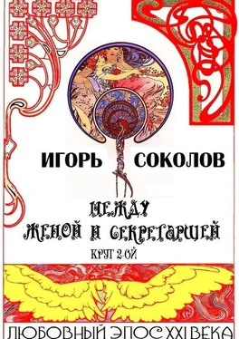 Игорь Соколов Между женой и секретаршей. Круг 2-ой обложка книги