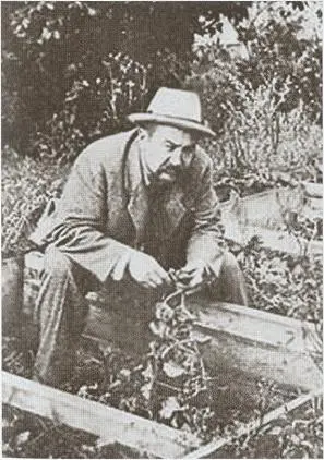 Огородник Гатчина 1910е гг Охотник Гатчина 1910е гг Гатчин - фото 40