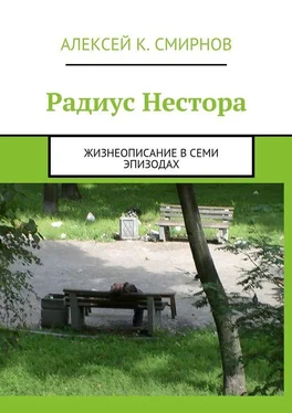 Алексей Смирнов Радиус Нестора. Жизнеописание в семи эпизодах обложка книги