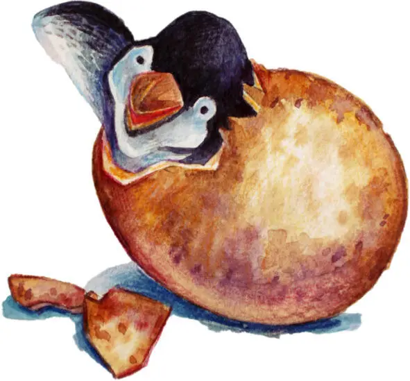 Иллюстрации Анастасии Гайдук Пингвинёнок Зулу Жил на свете пингвинёнок Зулу - фото 1