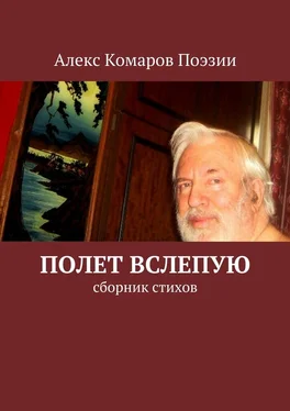 Алекс Комаров Поэзии Полет вслепую. Сборник стихов обложка книги