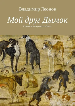 Владимир Леонов Мой друг Дымок. Сказки и истории о собаках обложка книги