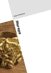 Вадим Фёдоров - Мегера. Роман о женщинах