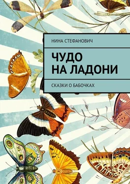 Нина Стефанович Чудо на ладони. Сказки о бабочках обложка книги