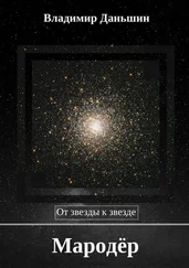 Владимир Даньшин - Мародёр. От звезды к звезде