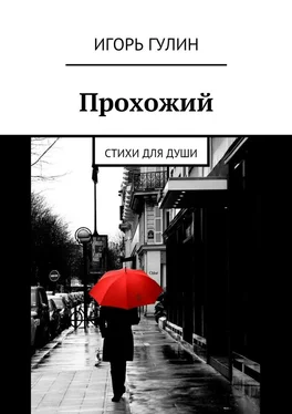 Игорь Гулин Прохожий. Стихи для души обложка книги