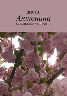 Виста Антонина. Фантастическая реальность – 6 обложка книги