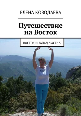 Елена Козодаева Жизнь артиста. Восток и Запад. Часть 5 обложка книги