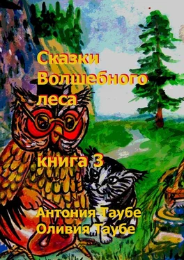 Антония Таубе Сказки Волшебного леса. Книга 3 обложка книги