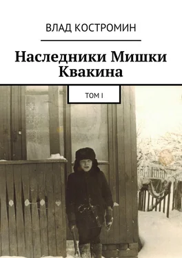 Влад Костромин Наследники Мишки Квакина. Том I обложка книги