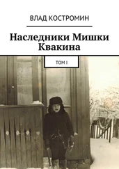 Влад Костромин - Наследники Мишки Квакина. Том I