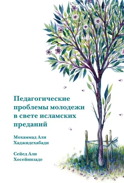 Сейед Хосейнизаде Педагогические проблемы молодежи в свете исламских преданий обложка книги