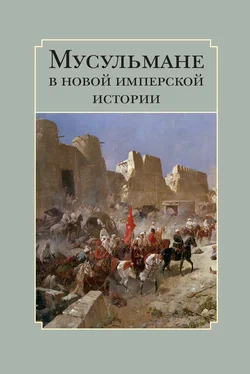 Array Сборник статей Мусульмане в новой имперской истории обложка книги