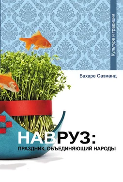 Бахаре Сазманд Навруз: праздник, объединяющий народы обложка книги