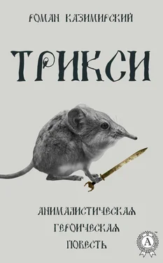 Роман Казимирский Трикси обложка книги