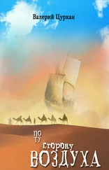 Валерий Цуркан - По ту сторону воздуха