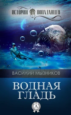 Василий Мызников Водная гладь обложка книги