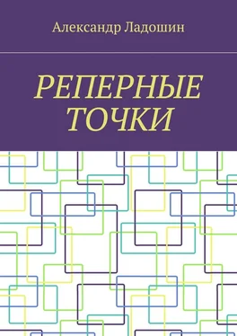 Александр Ладошин Реперные точки обложка книги