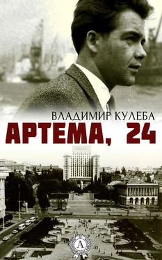 Владимир Кулеба Артема, 24 обложка книги