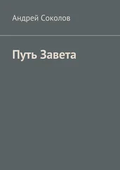 Андрей Соколов - Путь Завета