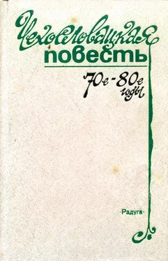 Ян Костргун Чехословацкая повесть. 70-е — 80-е годы обложка книги
