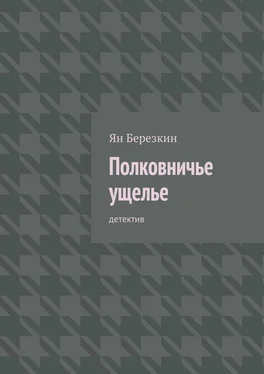 Ян Березкин Полковничье ущелье. Детектив обложка книги