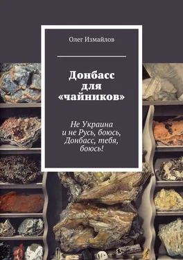 Олег Измайлов Донбасс для «чайников». Не Украина и не Русь, боюсь, Донбасс, тебя, боюсь! обложка книги